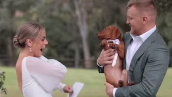 Durante le promesse di matrimonio, lo sposo ha sorpreso Lily con un Bassotto, il cane dei suoi sogni. Oggi, dopo un anno, racconta la loro vita insieme.