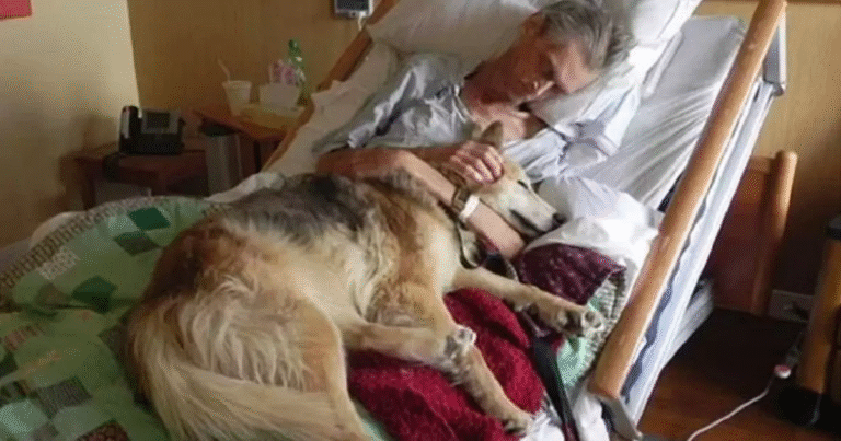 Un uomo malato terminale chiede di rivedere per l’ultima volta la sua cagnolina. L’abbraccio in ospedale commuove milioni di persone.