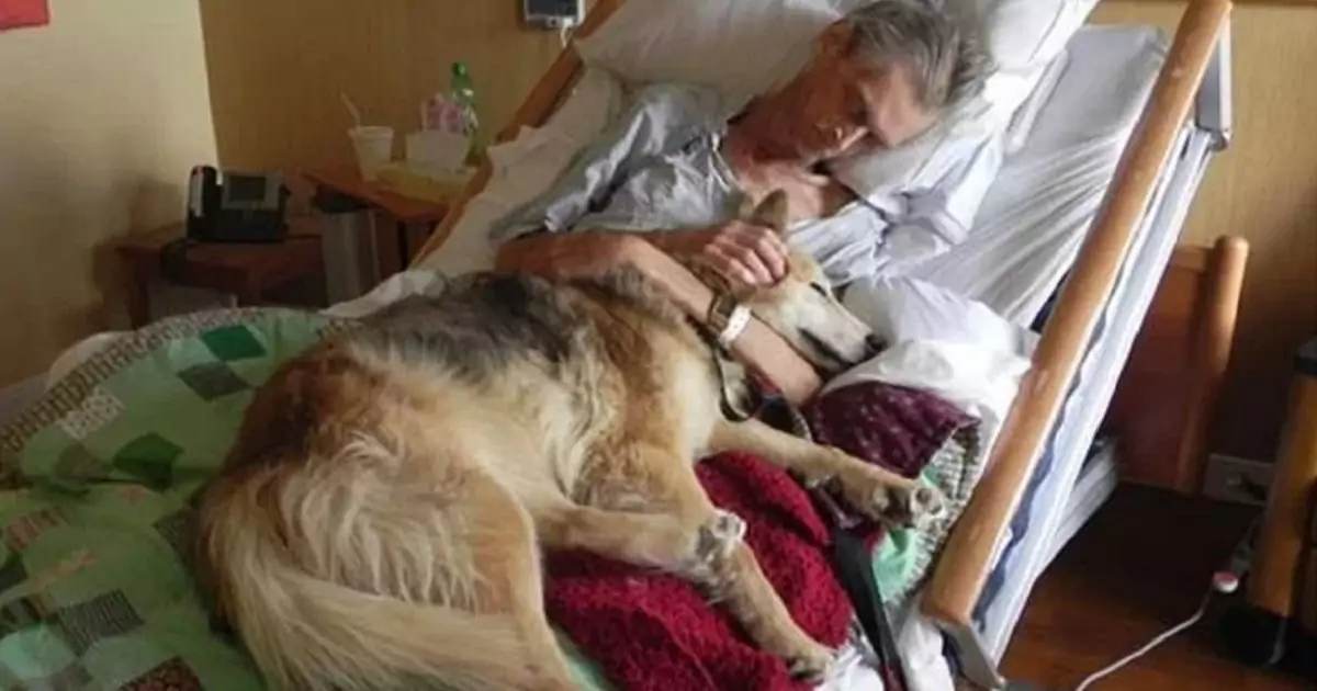 Un uomo malato terminale chiede di rivedere per l’ultima volta la sua cagnolina. L’abbraccio in ospedale commuove milioni di persone.