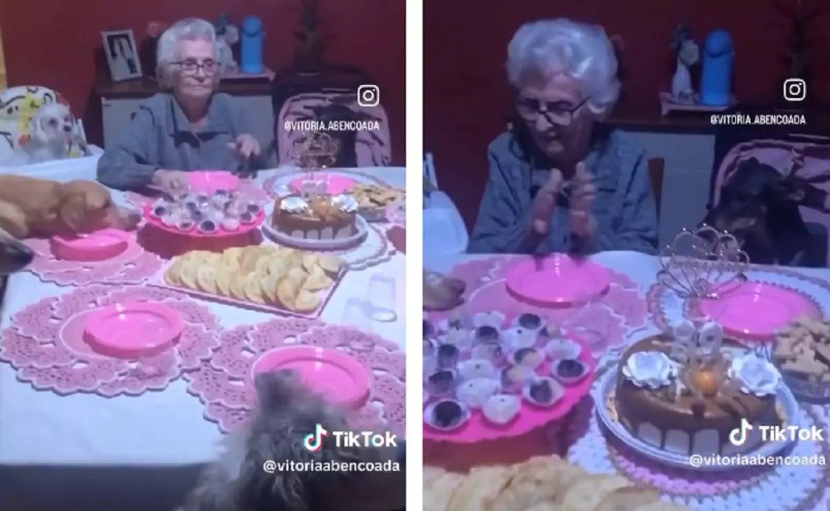 Un video diventato virale mostra una dolce signora che spegne le candeline circondata dai suoi otto cani, seduti a tavola come veri invitati.