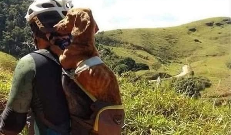 Durante un’uscita in bicicletta, un ciclista brasiliano ha trovato un cane in condizioni disperate. Oggi i due sono inseparabili e la loro storia emoziona il mondo.