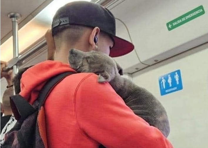 Un viaggiatore immortalato mentre stringe tra le braccia il suo cane sul Tren Sarmiento. L’immagine diventa virale e commuove migliaia di persone online.