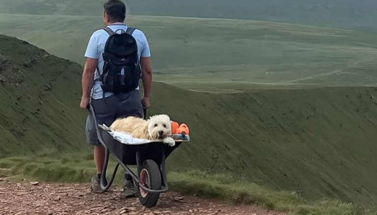 La storia di Carlos e del suo fedele compagno Monty: dieci anni insieme, un amore infinito che si è compiuto tra le vette del Galles.