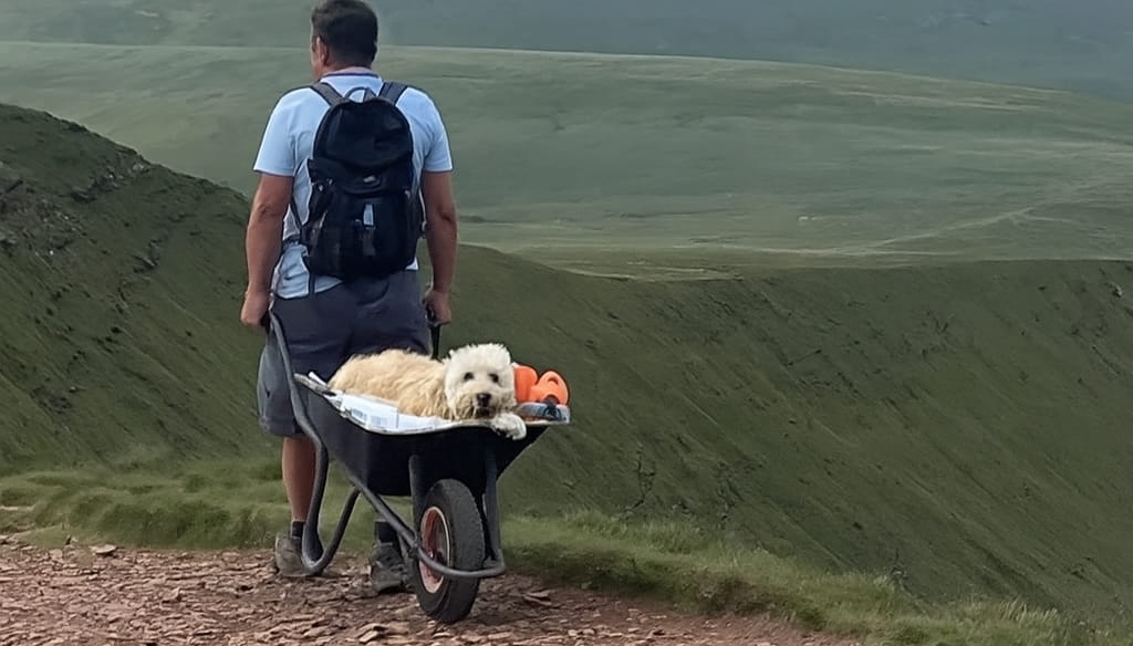 La storia di Carlos e del suo fedele compagno Monty: dieci anni insieme, un amore infinito che si è compiuto tra le vette del Galles.