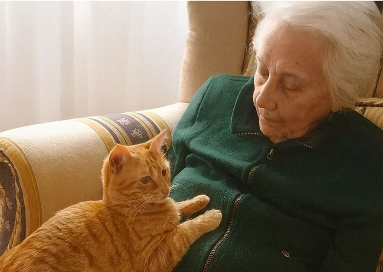 Una donna di 93 anni affetta da demenza senile ritrova serenità grazie a un gatto: la presenza di Sbirulina le ha riportato stabilità emotiva e momenti di gioia.