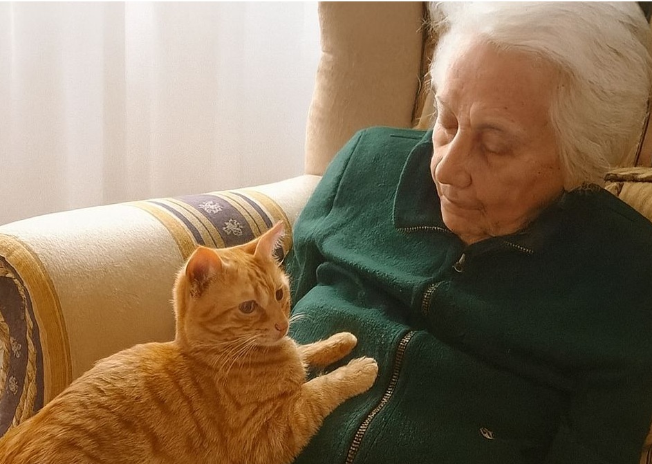 Una donna di 93 anni affetta da demenza senile ritrova serenità grazie a un gatto: la presenza di Sbirulina le ha riportato stabilità emotiva e momenti di gioia.