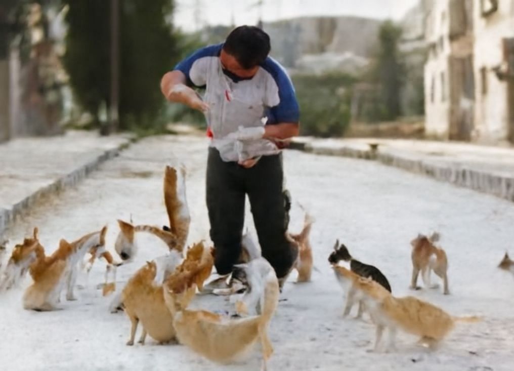 Quando tutti fuggivano dalla guerra, Alaa ha scelto di restare per accudire gli animali abbandonati. Il suo rifugio oggi è un simbolo di speranza.