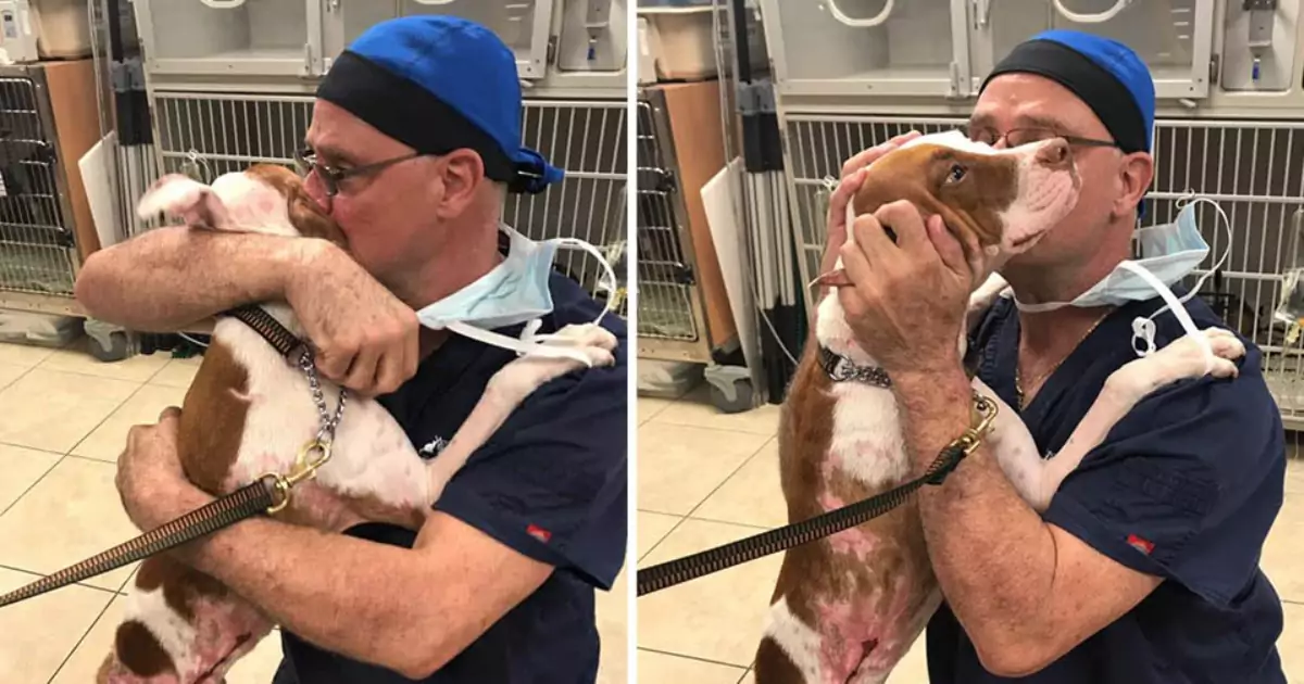 Trovato incatenato tra le fiamme a West Palm Beach, il cane Smokey è sopravvissuto grazie all’amore e alle cure del dottor Latimer. Oggi vive felice e torna spesso a ringraziarlo.