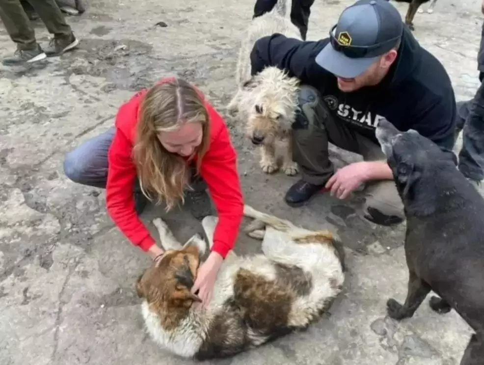 Ferito e terrorizzato dalla guerra, un cane randagio ha ritrovato la vita e l’amore grazie alla dedizione di una veterinaria americana.