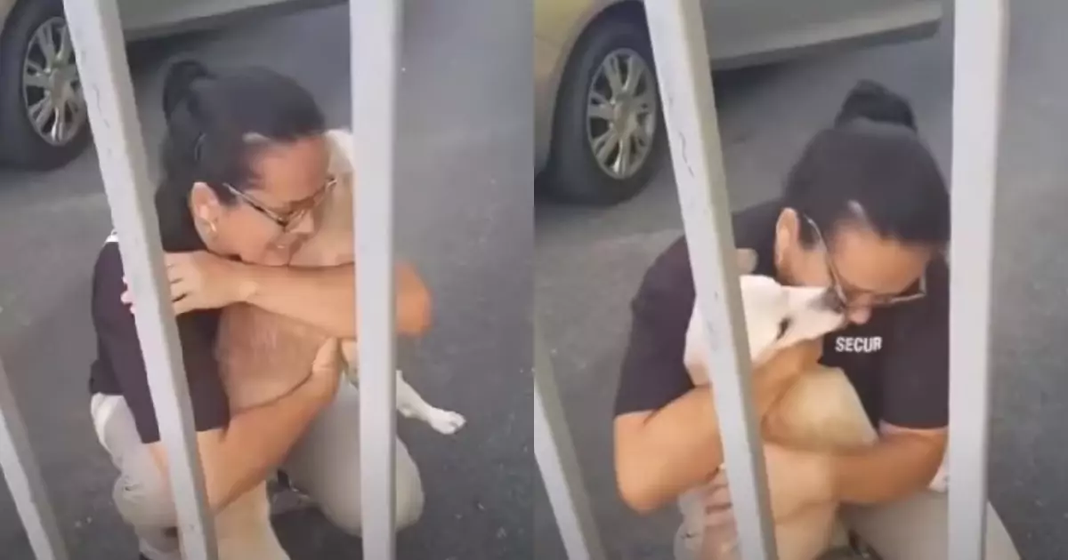 Dopo dieci giorni di paura e ricerche, una donna ritrova il suo cane scomparso. Il video del loro abbraccio emoziona migliaia di persone.