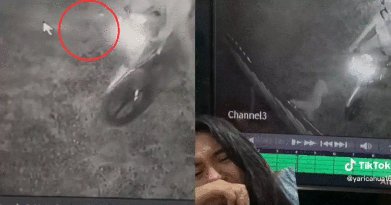 Una donna ha visto l’anima del suo cane tornare a salutarla un’ultima volta. Il video del commovente addio è diventato virale su TikTok.