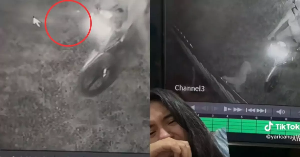 Una donna ha visto l’anima del suo cane tornare a salutarla un’ultima volta. Il video del commovente addio è diventato virale su TikTok.