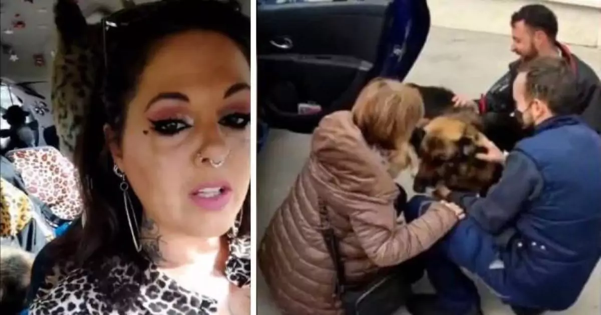 Il cane era scomparso da sei anni e dato per perso. Una donna lo trova per strada e, grazie al microchip, scopre la sua incredibile storia.