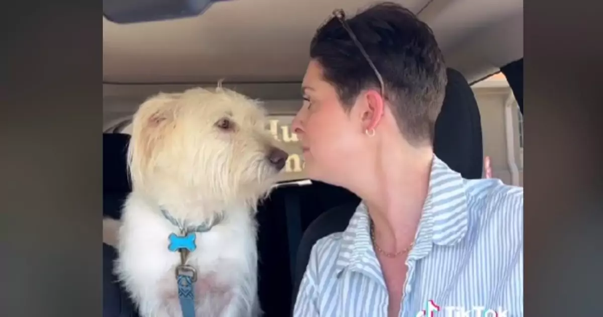 Quando Danielle ha scoperto che al rifugio c’era un cane identico al suo, non ha esitato un secondo: è corsa ad adottarlo e ha cambiato due vite.