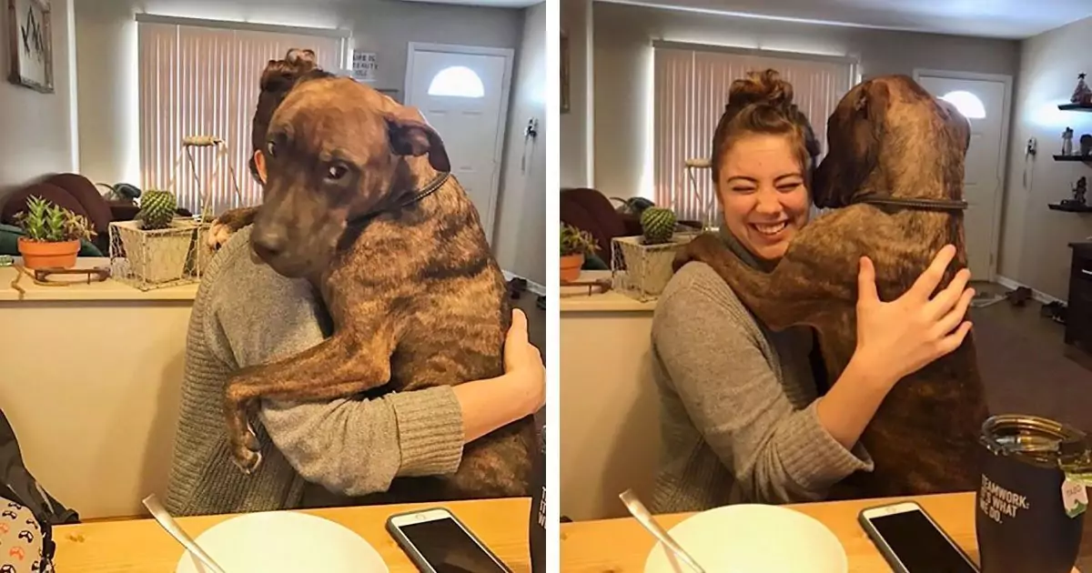 Il dolcissimo Kylo, adottato da un rifugio, continua a riempire di abbracci la sua padrona Sweers: un gesto quotidiano di gratitudine e amore puro.