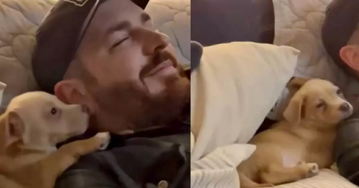 Appena arrivato nella sua nuova casa, un cucciolo ha trovato subito conforto nel suo nuovo umano: lo ha abbracciato e si è addormentato sereno sulla sua spalla.