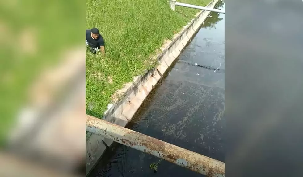 A Sabah, in Malesia, un uomo disabile ha abbandonato la sua sedia a rotelle per salvare un cucciolo intrappolato in un canale, dimostrando che il coraggio non conosce limiti.