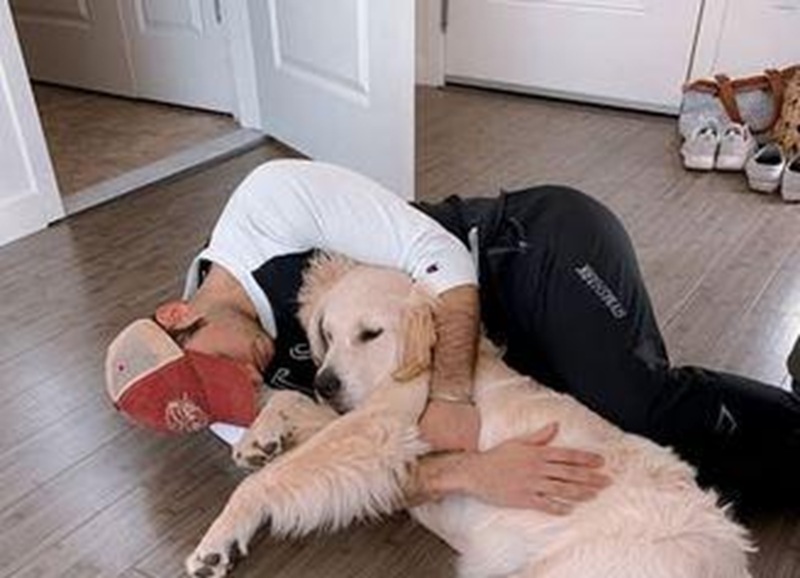 Dopo essere stato abbandonato di nuovo, il piccolo Frankie ritrova il suo padrone: un gesto d’amore che vale più di mille parole.