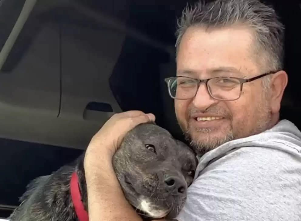 Un cane rimasto in un rifugio per oltre un anno è stato adottato da un uomo che aveva perso il suo animale, dando inizio a un nuovo legame di fiducia.