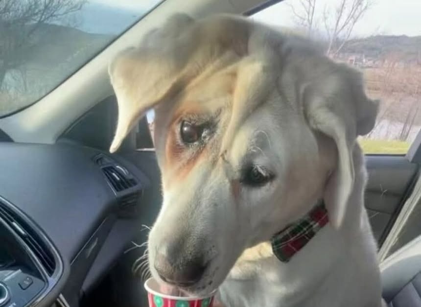 La storia di Beaux Tox, nato con una deformità facciale e scartato da tutti, si trasforma in un messaggio universale grazie all’adozione di Jamie Hult.