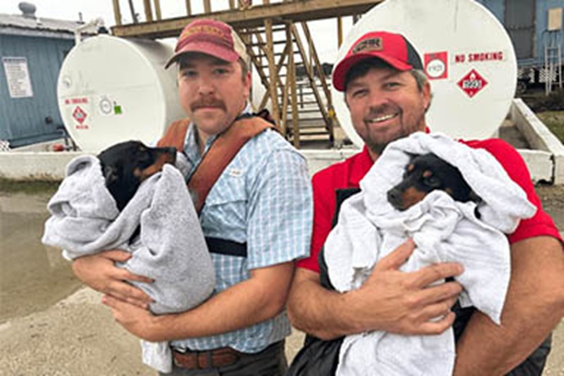 Un automobilista li ha lanciati nel fiume come fossero rifiuti. Due eroi li hanno tratti in salvo sfidando le acque gelide.