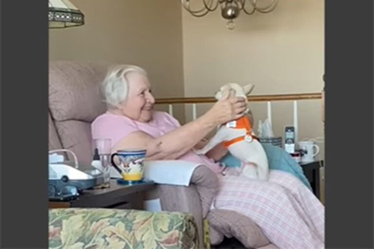 Una donna di 100 anni regala una nuova vita a un cane anziano scartato da tutti, trovando in lui compagnia, amore e forza.
