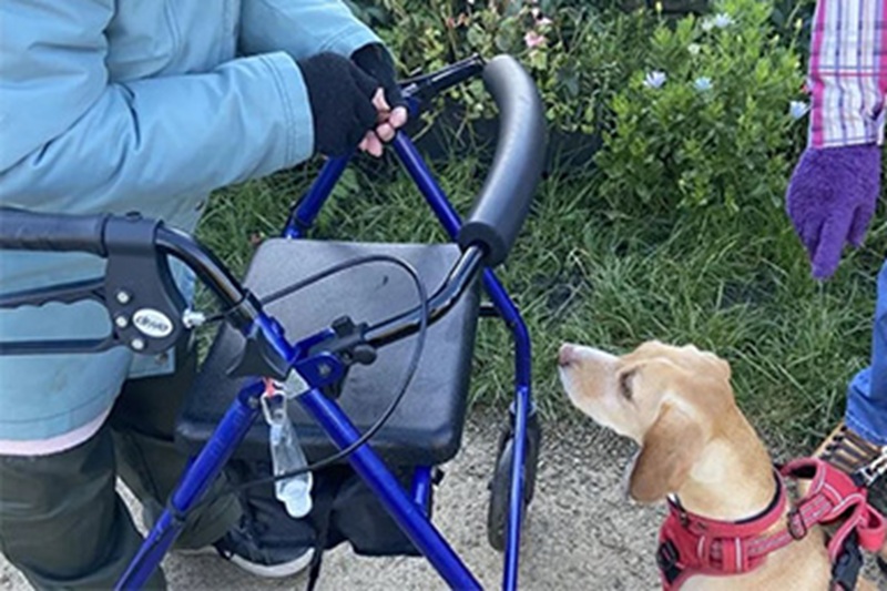 A Skypton, in North Yorkshire, una folla di amici e cani ha salutato l’89enne Irene Longstaff, nota come la “signora delle prelibatezze per cani”.