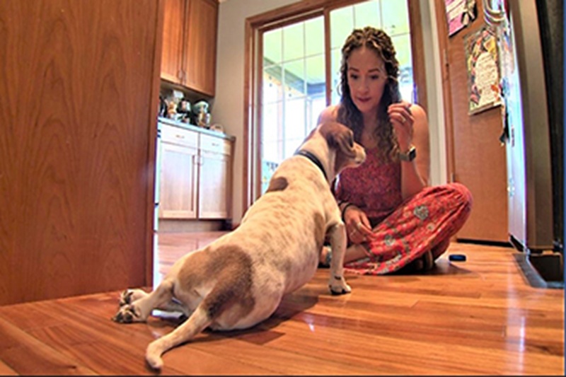 Un bambino realizza da solo una sedia a rotelle per aiutare il Bassotto disabile della sua ex maestra, permettendogli di tornare a camminare e a vivere con serenità.