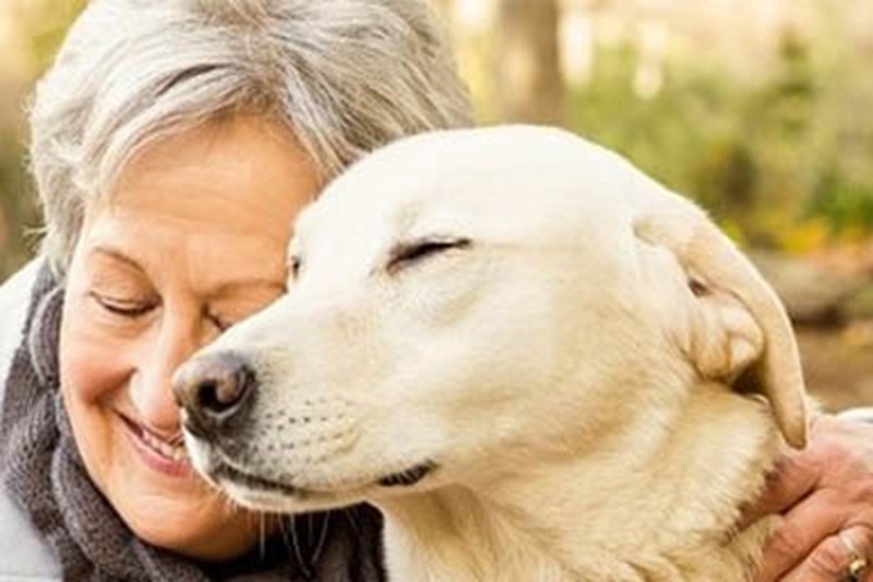 Affetta da demenza, si era allontanata da casa nello Utah. A salvarla è stato il suo Labrador, che ha guidato i soccorsi con i suoi abbai.