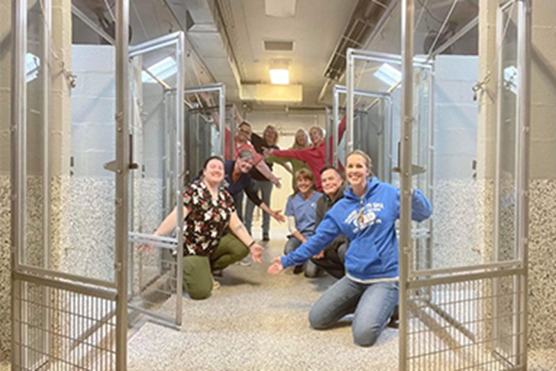 Il rifugio SPCA della contea di Adams in Pennsylvania festeggia un risultato storico: 598 adozioni e solo un gattino ancora in attesa.