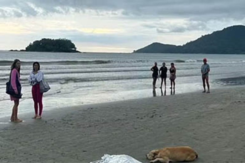 Ha vegliato il corpo del suo amico umano fino all’arrivo della polizia. Oggi Scooby ha una nuova famiglia che gli ha ridato amore e speranza.