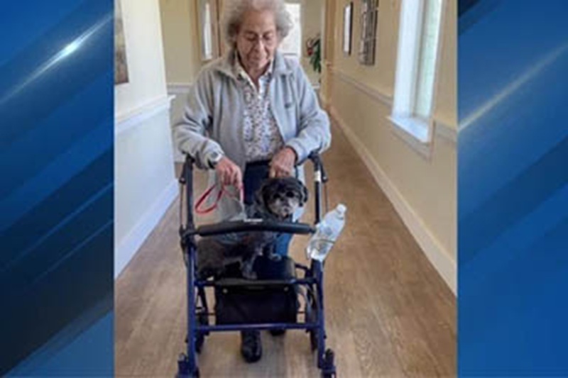 Dalle strade del Texas a un nuovo inizio pieno d’amore: la storia di Chewy, il cagnolino che ha ritrovato la gioia di vivere insieme ai suoi nuovi amici.