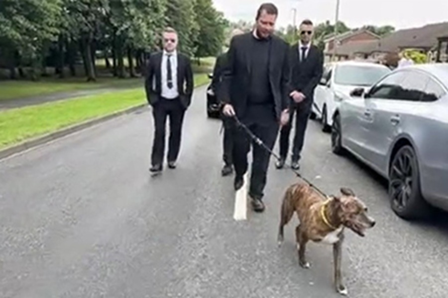Lo Staffordshire Bull Terrier Malic ha guidato il funerale del suo amico umano Gareth Richards, mostrando una fedeltà che ha emozionato tutti.