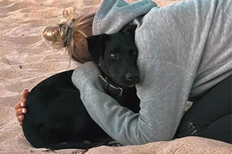 Scappata all’aeroporto di Parigi durante uno scalo, la cagnolina Amalka è stata ritrovata dopo nove giorni di ricerche e lacrime.