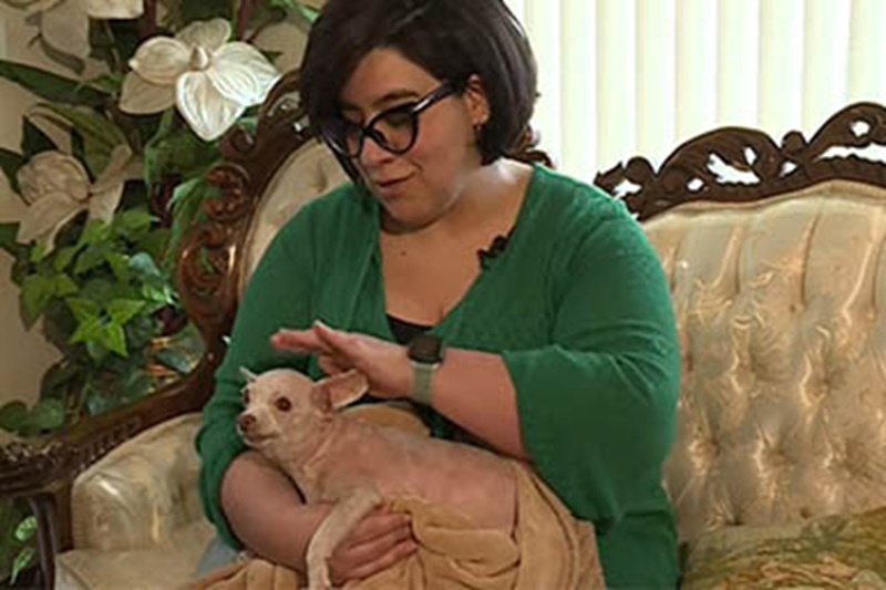 Judith Monarrez ha riabbracciato il suo Chihuahua dopo quasi un decennio. Era scomparso nel 2015: a salvarlo, ancora una volta, è stato il microchip.