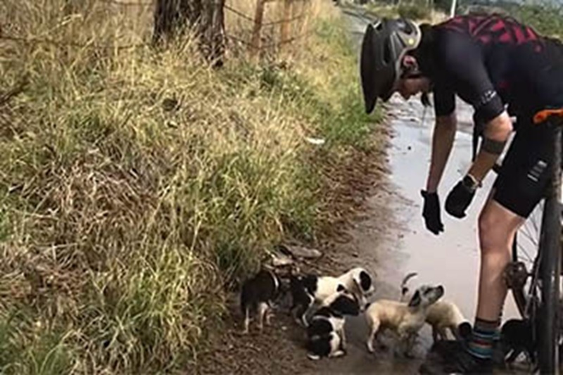 Durante un’escursione tra le montagne del Messico, due giovani cicliste salvano sei cuccioli abbandonati nel fango. Ora vivono al sicuro e felici.