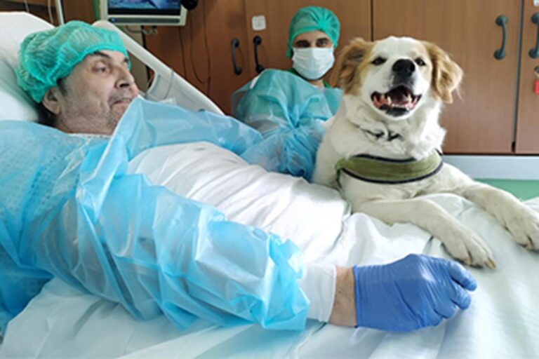 Il paziente Roberto, ricoverato al Niguarda da quasi un anno, ha potuto rivedere il suo cane Buk dopo una richiesta sussurrata agli infermieri.
