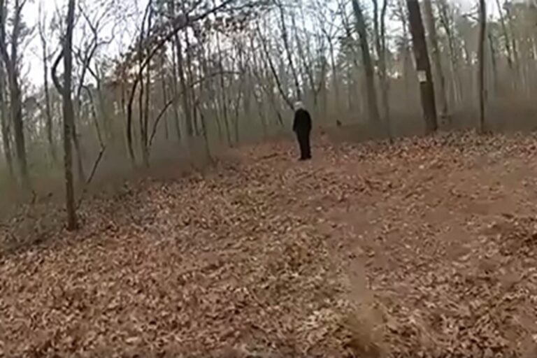 Un bimbo di 4 anni è stato ritrovato in un bosco di Buena Vista grazie al suo Labrador, che lo ha protetto fino all’arrivo dei soccorsi.