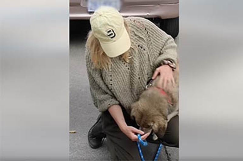 Una ragazza americana in vacanza in Bolivia incontra un cane che la rincorre disperato. Da allora, non si sono più separati.