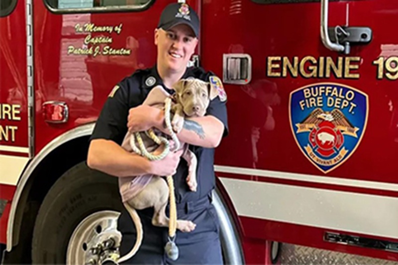 Una cucciola lasciata sull’asfalto, due ragazze che la soccorrono e un pompiere che le cambia per sempre la vita: così nasce la rinascita di Auburn.