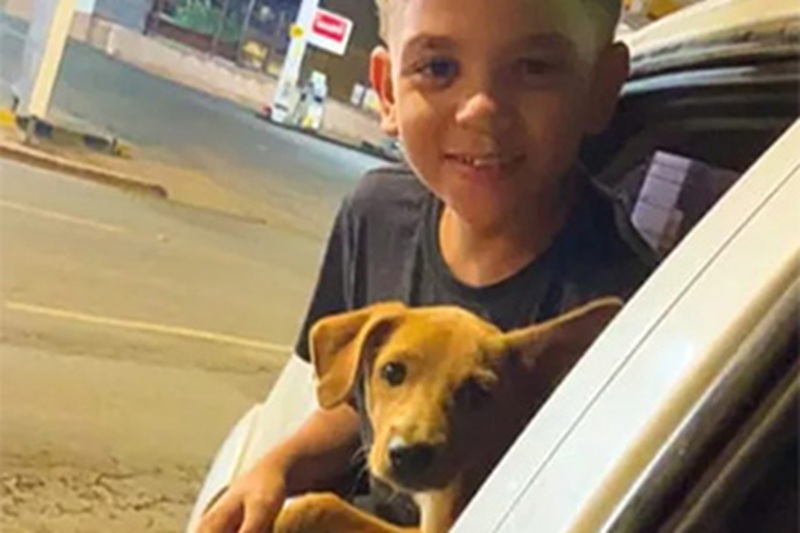 Il piccolo Heitor salva la cagnolina Pipoca durante un allenamento: i due ora vivono insieme dopo una storia d’amore e tenacia.