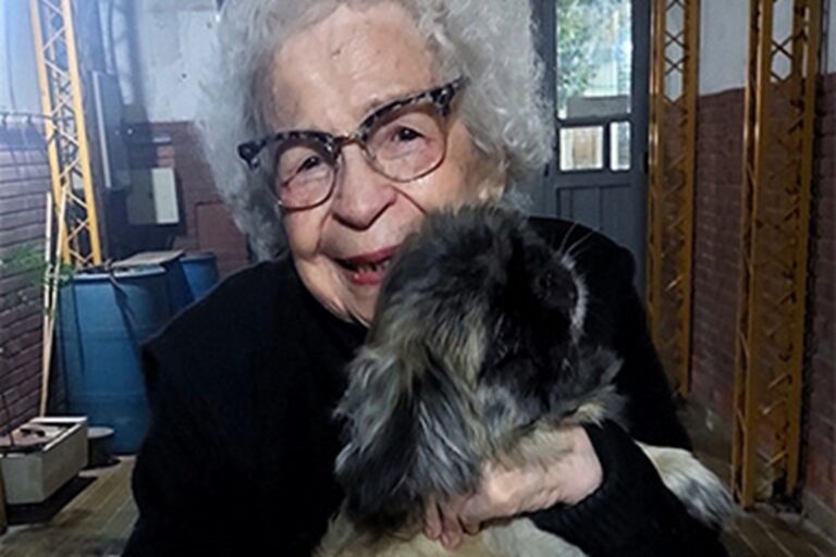 Sultan, un cagnolino smarrito per una settimana a San Juan, torna tra le braccia della sua proprietaria di 97 anni grazie a un appello social.