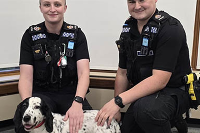 Rubata nel 2016, una simil Cocker Spaniel è stata ritrovata grazie al microchip. L’abbraccio con la famiglia ha commosso il Regno Unito.