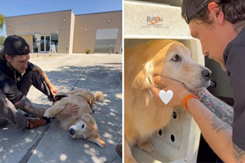 Il militare Colby voleva adottare una cagnolina di 16 anni, ma ha trovato Chief, un cane di 10 anni lasciato al rifugio. Tra loro è nato un legame speciale.