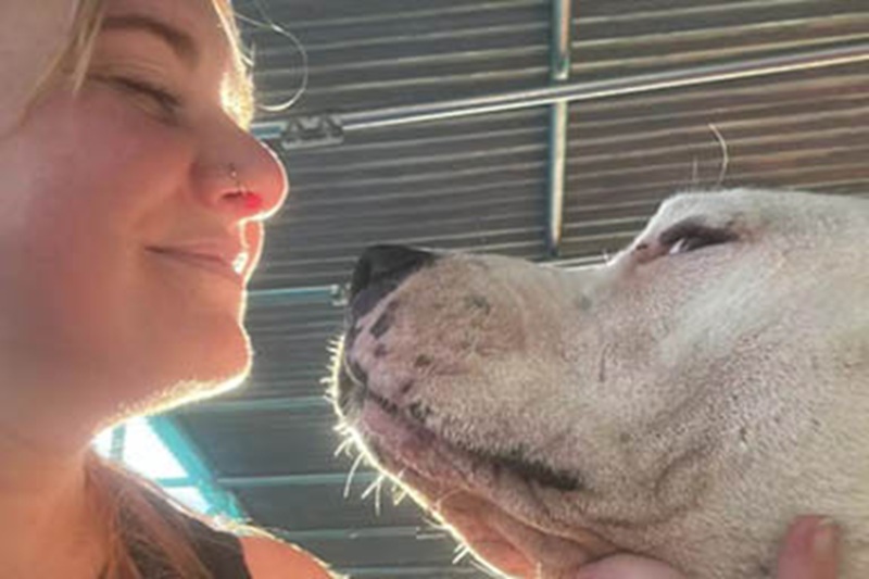 Affetta da cardiomiopatia e con pochi mesi di vita, la cagnolona Maggie trova conforto in un legame speciale con un randagio nelle campagne spagnole.