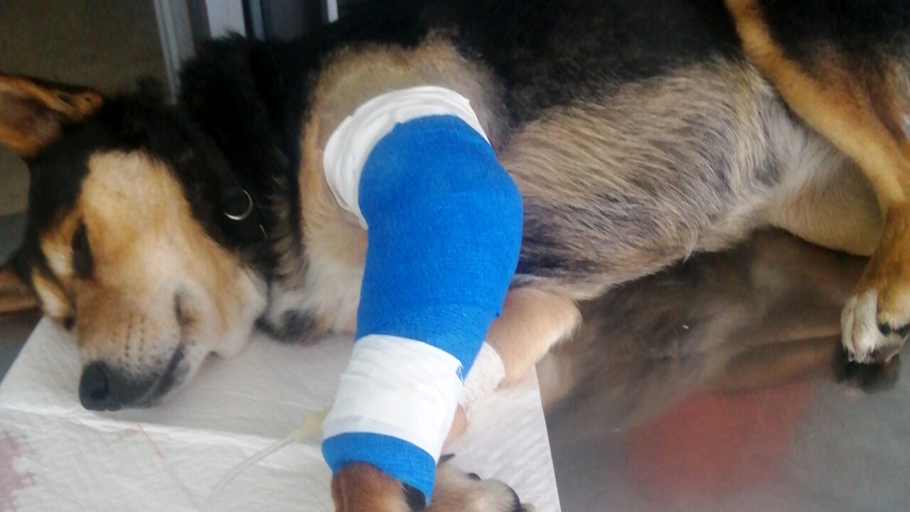 Hai scelto di scappare, lasciandolo sull’asfalto. Io invece mi sono fermata, e grazie a quel gesto oggi lui è vivo. Questa è la differenza.