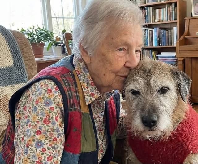 Dopo essere stato rifiutato perché “troppo vecchio”, Benson incontra una donna di 90 anni che lo sceglie e trasforma due solitudini in un ultimo capitolo d’amore.