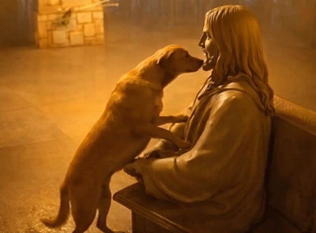 Un piccolo cane, solo sotto la pioggia, si avvicina a una statua illuminata e la abbraccia in silenzio, cercando protezione, calore e un momento di pace dalla solitudine.