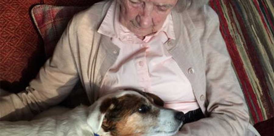 Una donna di 96 anni, Margory, adotta Jack, un cane anziano rimasto solo, scegliendo di condividere con lui l’ultima parte della vita tra passeggiate e affetto.