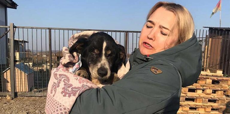 Nel villaggio di Novonikolsk, in Russia, un cane ritenuto senza vita viene sepolto e riesce a salvarsi, tornando dai suoi proprietari pochi giorni dopo.
